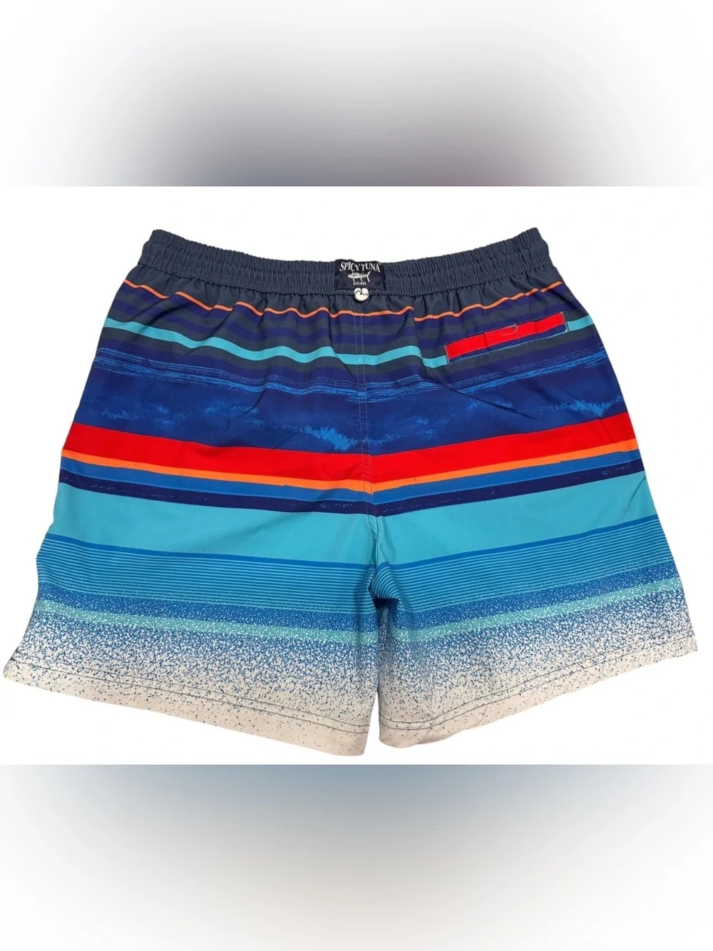 Spicy Tuna Men’s Swim Trunks Size L Striped Mesh Lined Worn Once